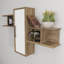 Olida Modern Wallshelf with a Cabinet-1347763646