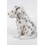 Statue dalmatien