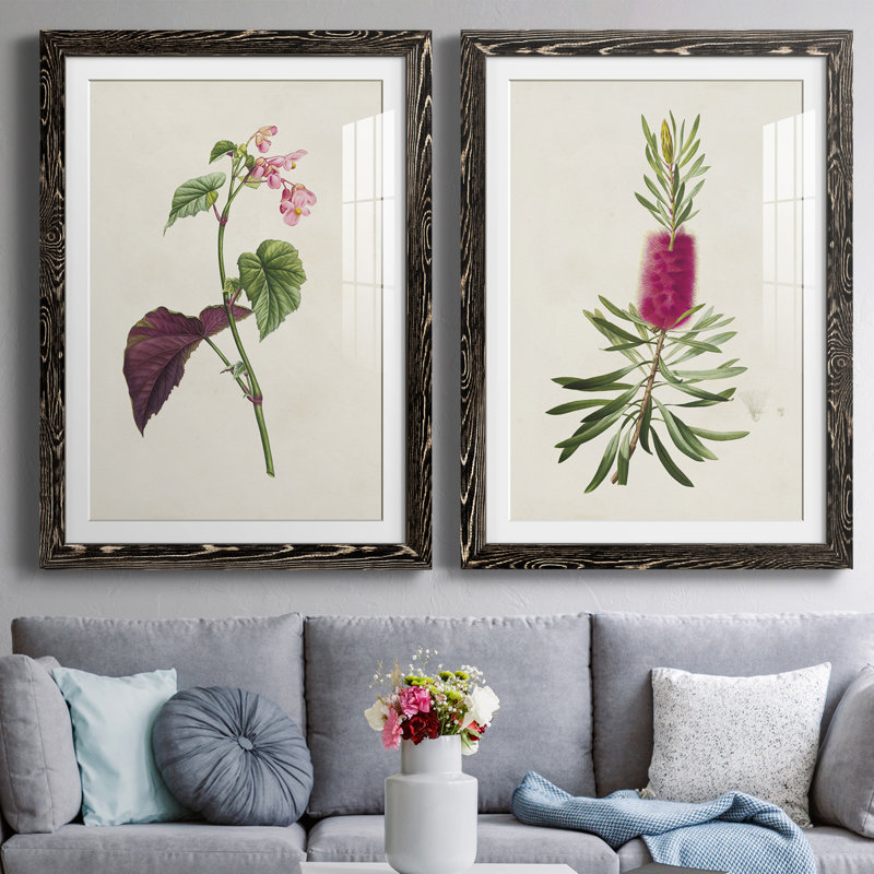 Pretty Pink Botanicals VI - Ensemble de 2 reproductions de cadres photo, H 24 po x l 36 po x P 1,5 po, Cadre noir