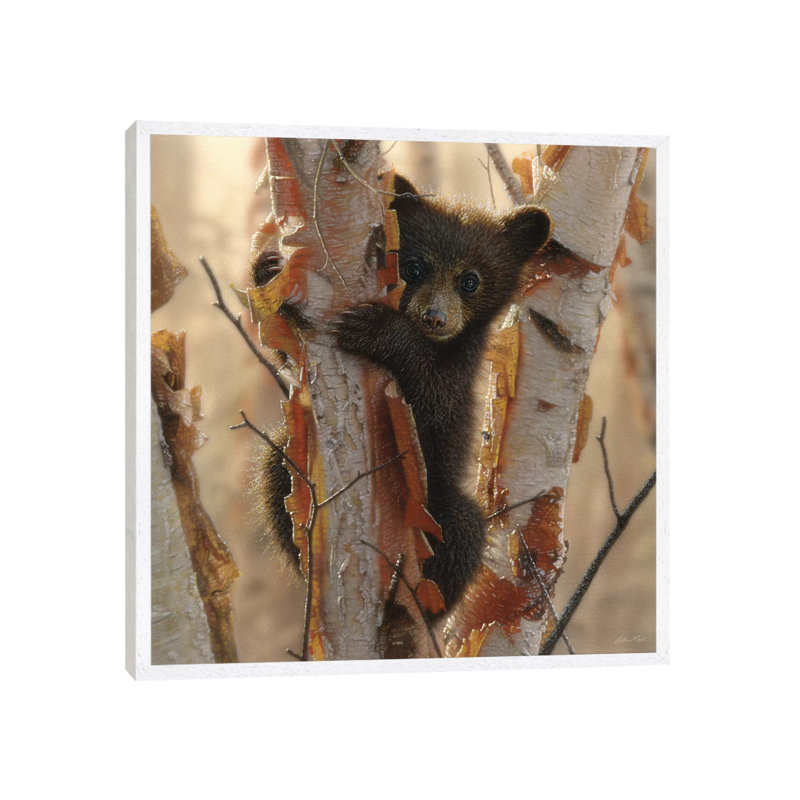 Bear Cub II - Painting on Canvas, White Floater Framed, 66.04 cm H x 66.04 cm W x 1.91 cm D