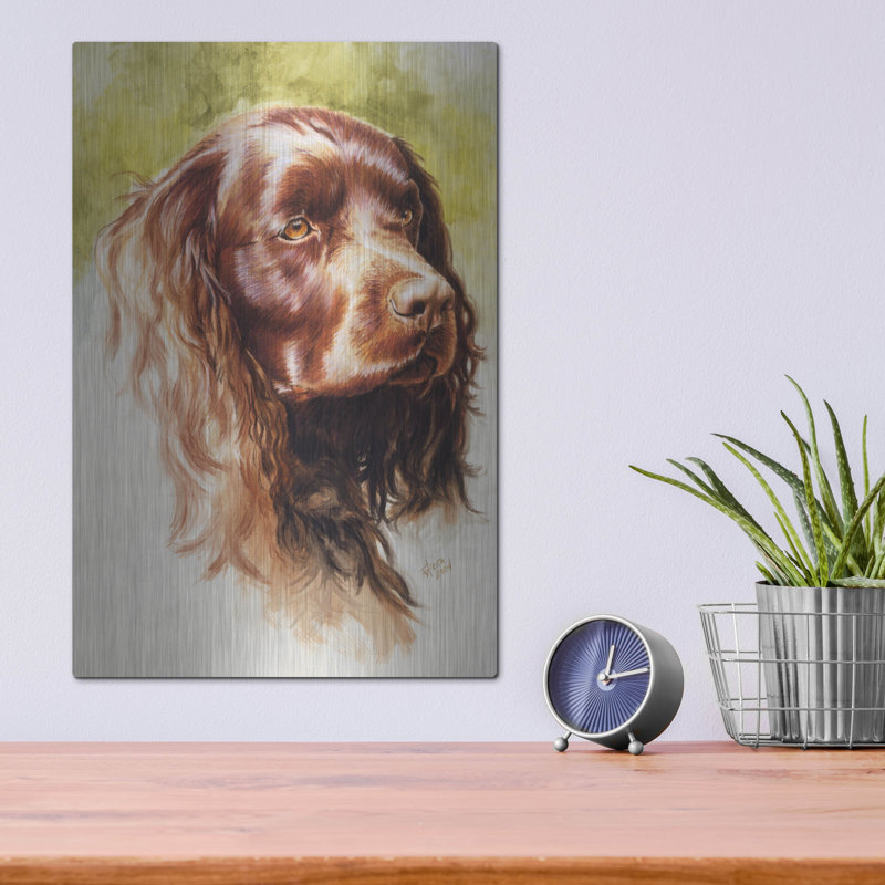 «Am Water Spaniel» par Barbara Keith, H 16 po x l 12 po