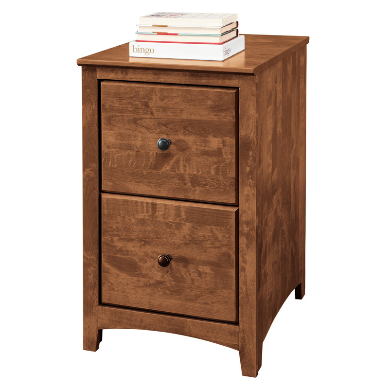 Malani 18'' Wide 2 -Drawer Solid Wood File Cabinet, Tuscan Brown