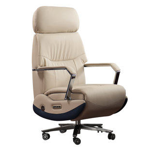 Fauteuil inclinable ergonomique Kinnls Carlo