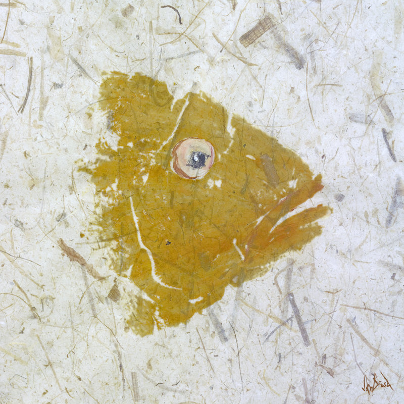 «Snapper Yellow» par John Beard, reproduction sur toile sans cadre, Toile tendue, H 26 po x l 26 po x P 3 po