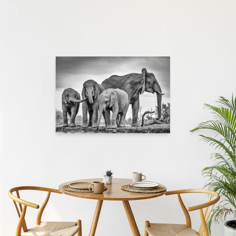 Éléphants d'Afrique à Waterhole, 24" H x 36" W