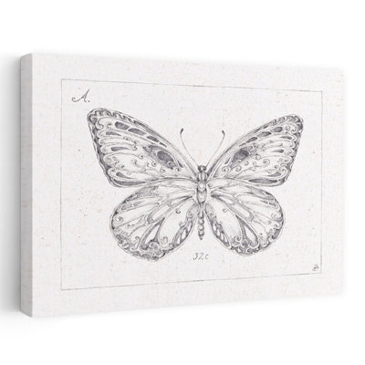 Art contemporain Art contemporain papillon