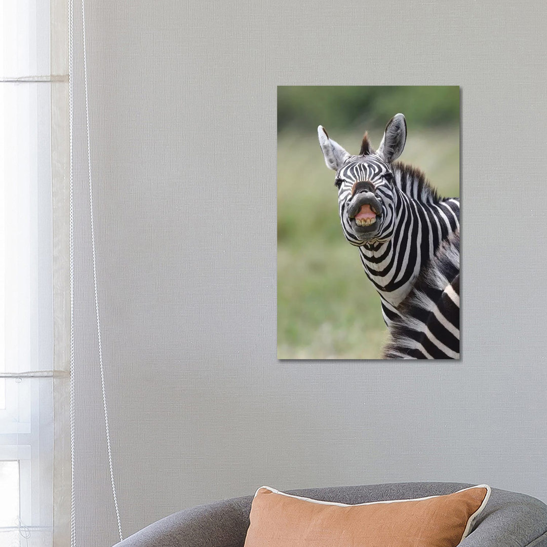 Smiling Zebra by Elmar Weiss - Wrapped Canvas Photograph