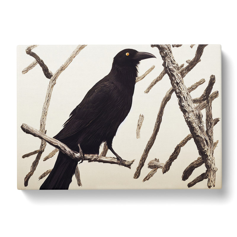 Wondrous Crow Bird - Wrapped Canvas
