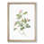 Oak Framed selected