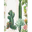 Papier peint cactus et plantes grasses désertiques | Murale botanique vibrante | Rouleau pelez et collez