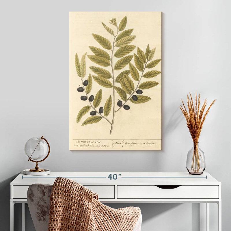 Keiri Olive Branch I, 30" H x 20" W