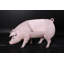 Banc à porc fat Jarvis