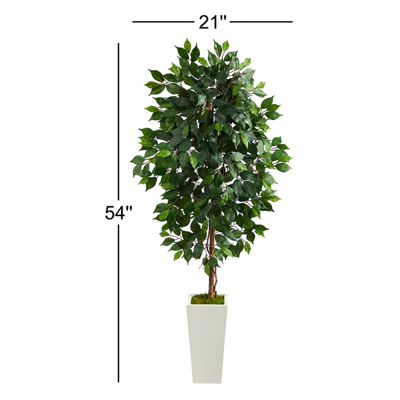 Arbre ficus artificiel en pot, H 54 po x l 21 po x P 19 po, Blanc