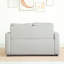 2 Seater Sofa Bed-1153581476