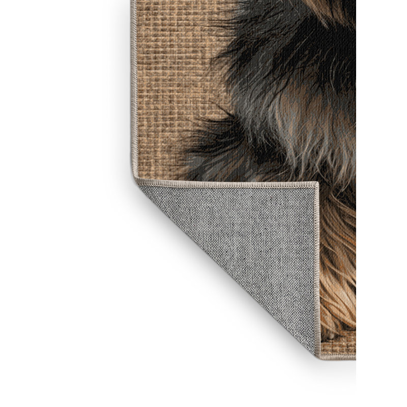  Tapis lavable belge Laekenois, Rectangle 6 pi x 9 pi