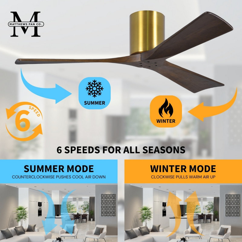 Irene Ceiling Fan, Brushed Brass, Walnut Tone, 60"
