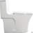 1.1/1.60 GPF Dual-Flush One Piece Toilet, Water-Saving Elongated Comfort Height Floor Mounted, Soft Closing Seat, 1000 Gram Map Flushing Score Toilet-120638391