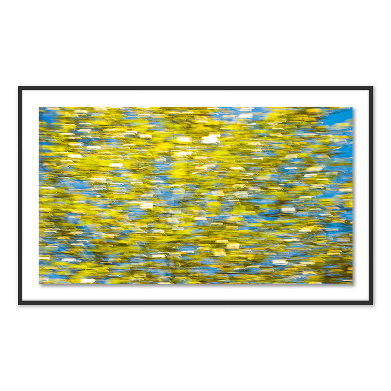 Waving Print by Geoffrey Baris, Black, 37" H x 60" W x 2.5" D