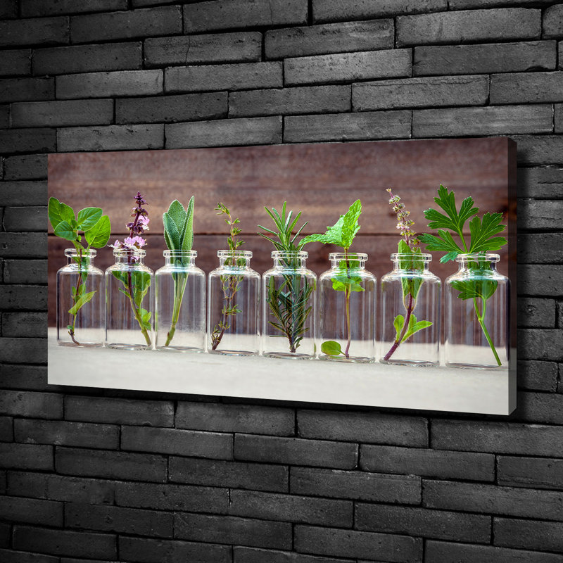 Plants In Jars - No Frame Print, 50cm H x 100cm W x 2cm D, Canvas