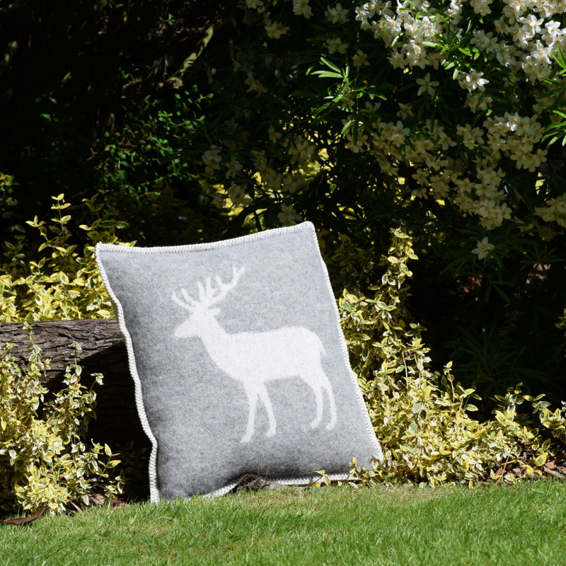 Cushion