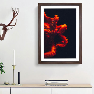 Red Octopus - Picture Frame Graphic Art Print