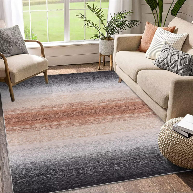 Grand tapis de salon lavable