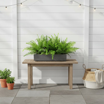 Kenley Outdoor UV Rated Fern in Rectangular Planter