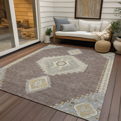 Machine Washable Indoor/Outdoor Chayden ACN1014 Rug