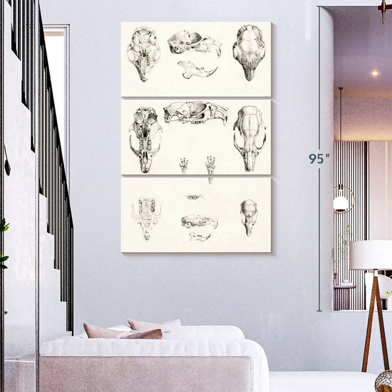 Kerner Knaagdierschedels, 74" H x 48" W