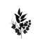 Halloween, boutures de feuilles d'érable noires, fantôme, fête, horreur, décoration, décoration, boutures de fleurs, branches mortes, boutures d'Halloween-1463492638