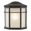 Edwin Black Outdoor Wall Lantern