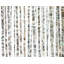Napperon aquarelle