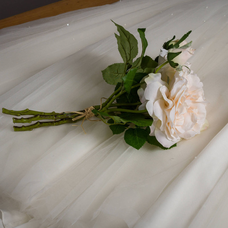 Anastasija Arrangement