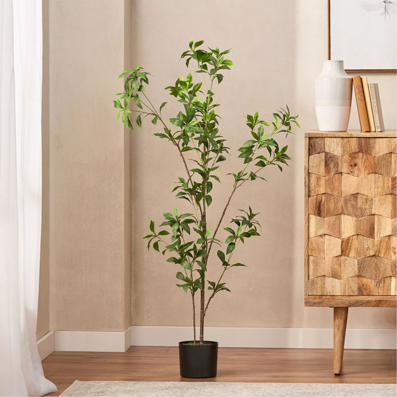 Pieris artificiel, 47,2 po x 19,7 po
