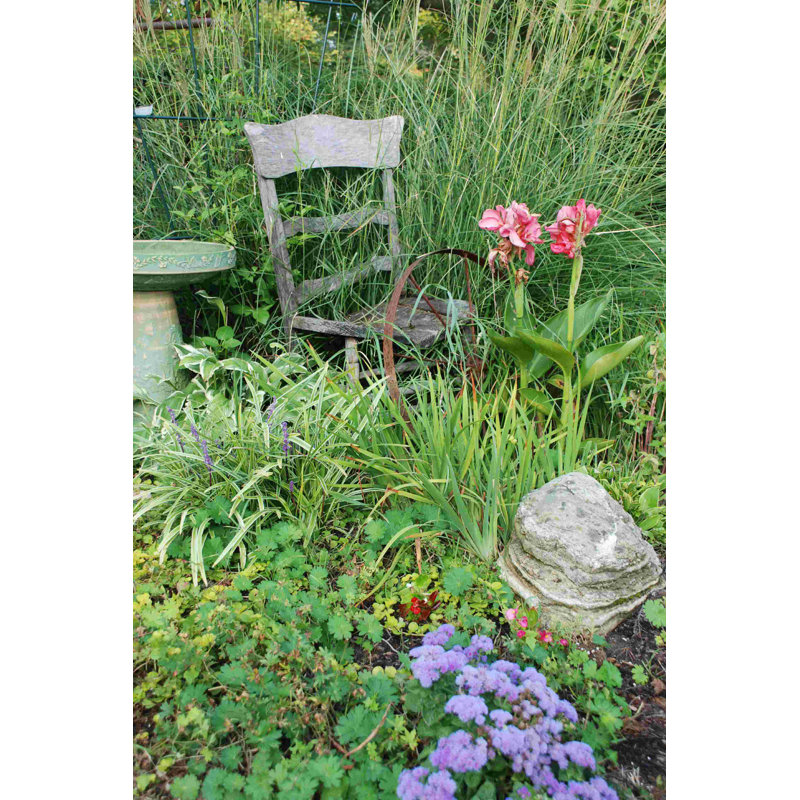 «Chair in Garden», photographie sur toile tendue, H 18 po x l 12 po