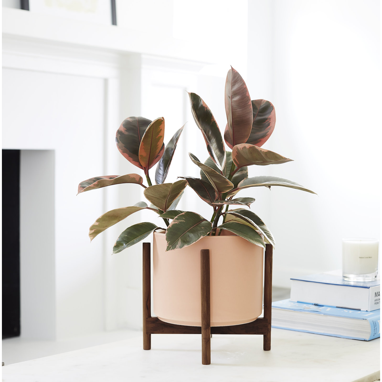 Riverside Handmade Ceramic Pot Planter, 8.75" H x 9.5" W x 9.5" D, Peachy Cotta/Darkened Teak