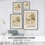 Marshland Mushroom, reproduction encadrée - bois massif-802626005