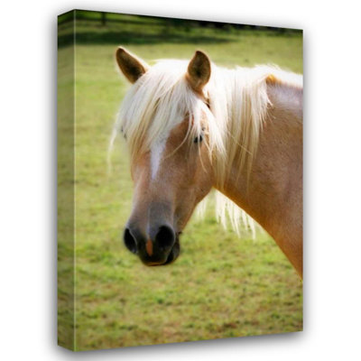 Hokku Designs HauseFootballock, Alan Gallery Wrapped Canvas Art Titled: Sonny