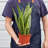 House Plant Shop Live Foliage Plant Low Maintenance Plant Rattan