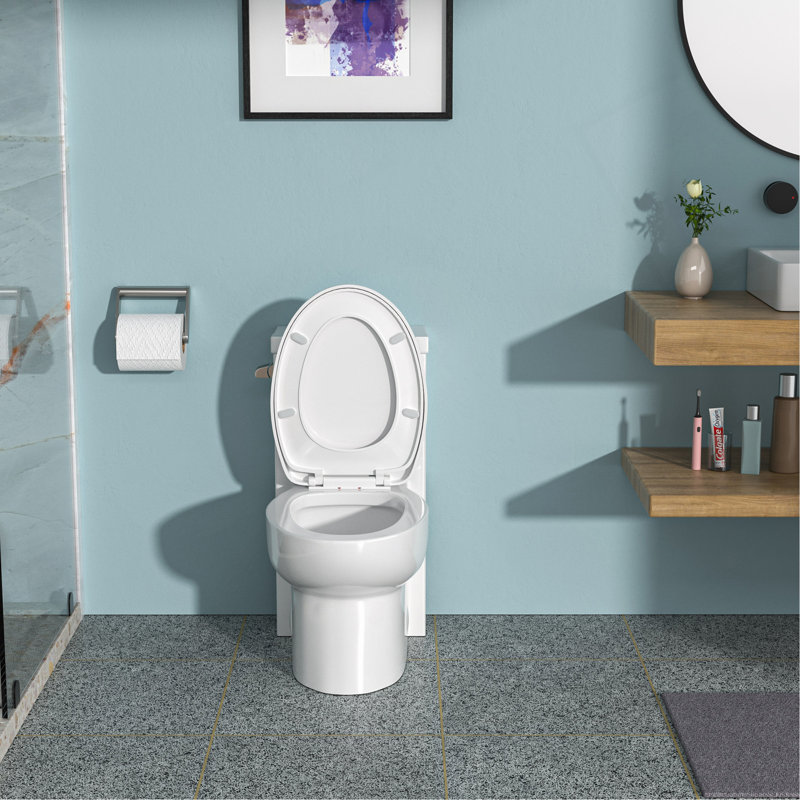 Toilette monobloc en céramique à une chasse avec siège cloisonné