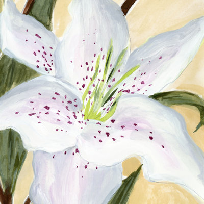 White Lily I 1 Piece Wrapped Canvas Painting