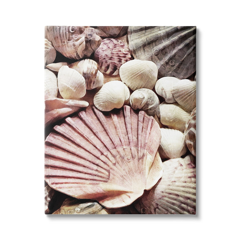 "Stacked Coastal Seashells", art mural sur toile par Ashley Aldridge, H 30 po x l 24 po x P 1,5 po, Toile tendue