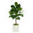 Roemer Fiddle Leaf Fig Tree-1570999666
