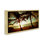 "Sunlit Palm Trees" encadrée par Floater par Susan Bryant