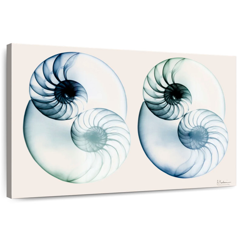 Aletra Split Breeze I, 30" H x 45" W