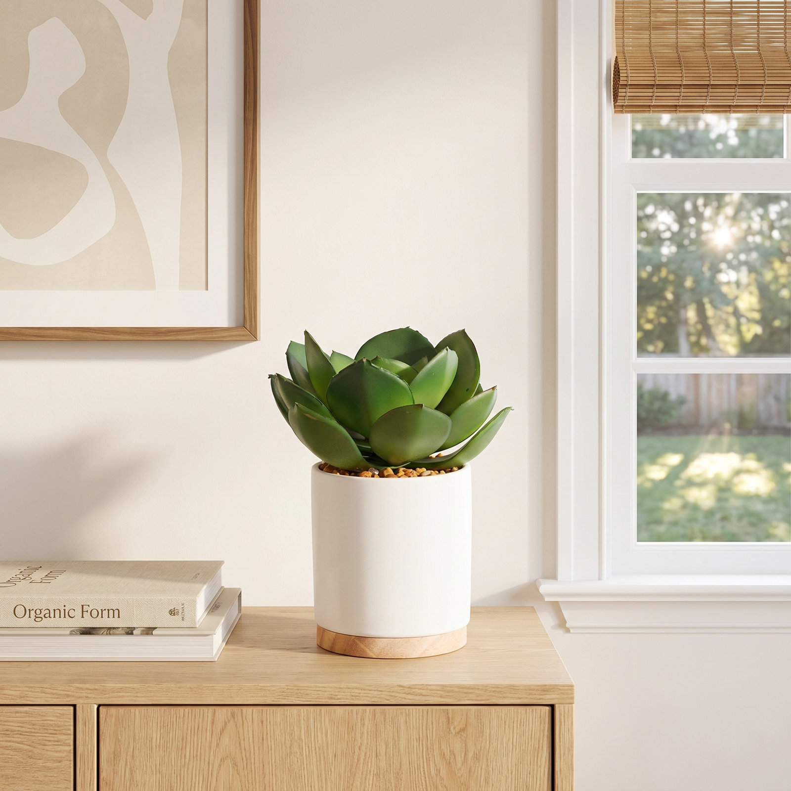 6'' Plant in Ceramic Planter