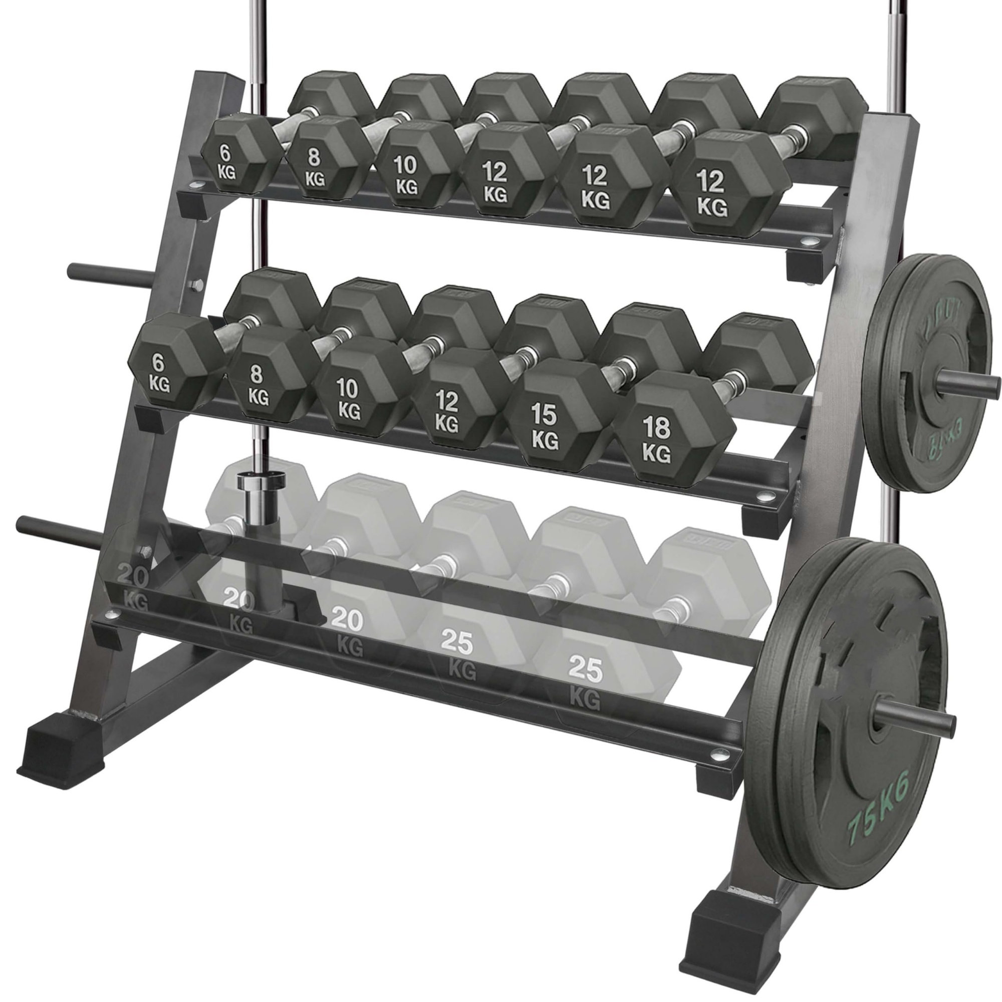 Latitude Run® 3 Tier Multifunctional Dumbbells Weights Barbells Rack ...