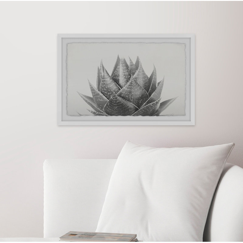 Agave - Single Picture Frame Print, 30cm H x 46cm W x 4cm D, Brown Framed