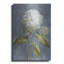Art mural en métal Latitude Run® «Hydrangea On Dusty Blue» par Danhui Nai-1300474143