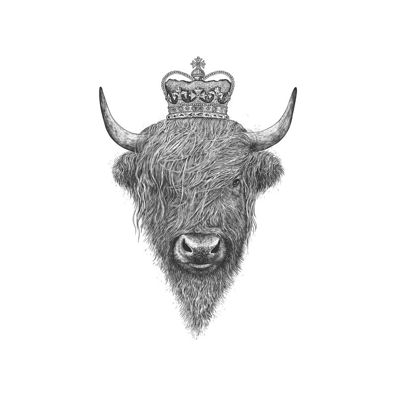 The King Highland Cow by Valeriya Korenkova - Wrapped Canvas Print, 66.04 cm H x 45.72 cm W